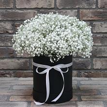 Цветочная композиция из Гипсофила в шляпной коробке в Ногире